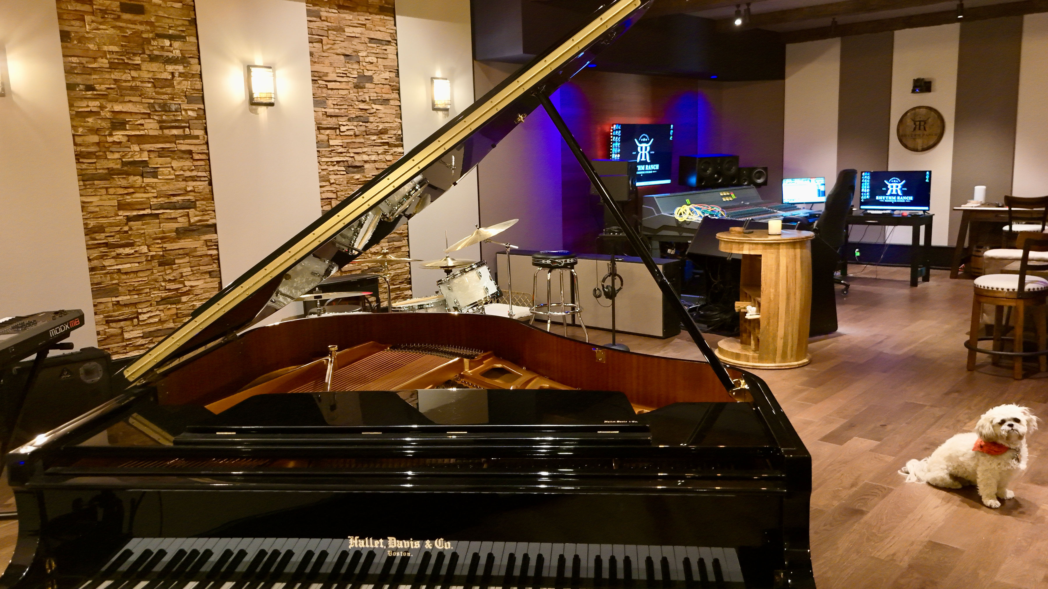 Camera 2 — live room wide
